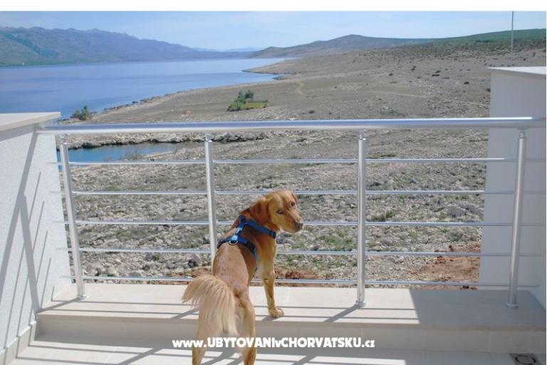 Atrium Blue – foto 15