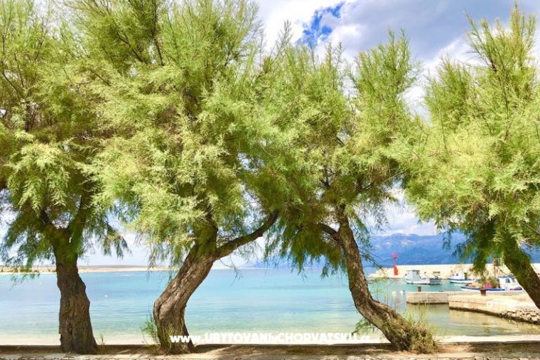 Atrium Blue – foto 17