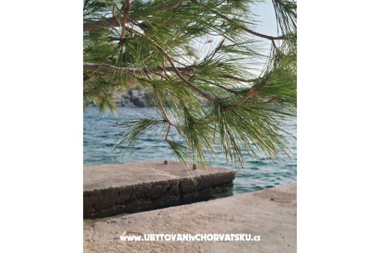 Apartmán Mišić - OAZA MIRA – foto 19