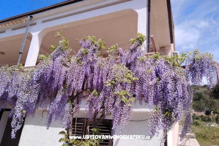 Apartmán Mišić - OAZA MIRA – foto 21