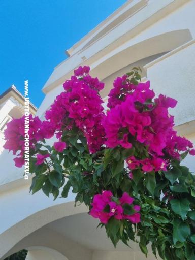 Apartmány Ana – foto 9