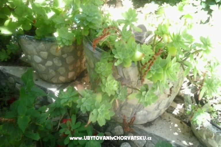 Apartmány Baković – foto 6