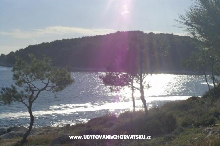 Apartmány Domino – foto 6