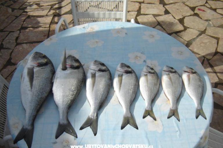 Apartmány Karabatić – foto 16