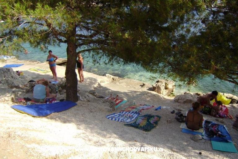 Apartmány Leon – foto 12