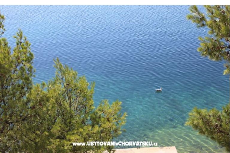 Apartmány Leon – foto 9