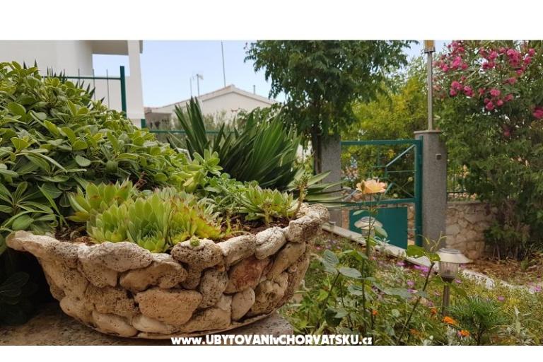 Apartmány Mijo – foto 13