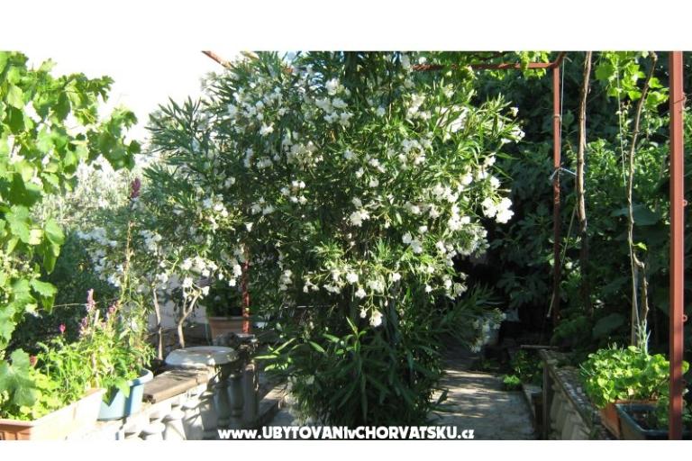 Apartmány Miki – foto 8