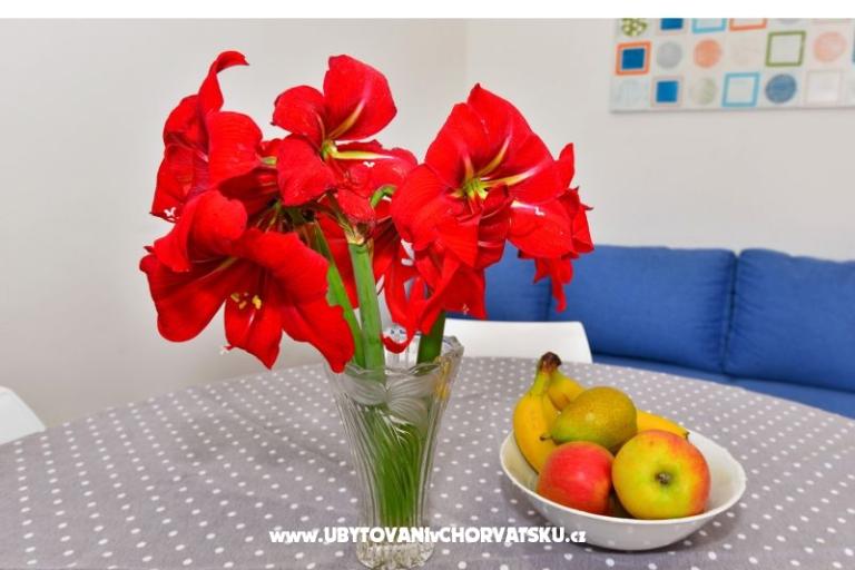 Apartmány Tereza – foto 9