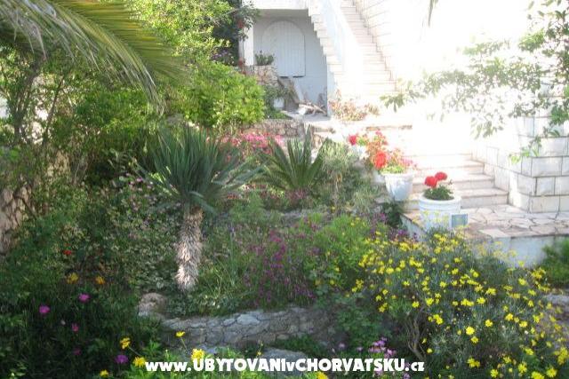 Villa Jozo Apartmány – foto 5