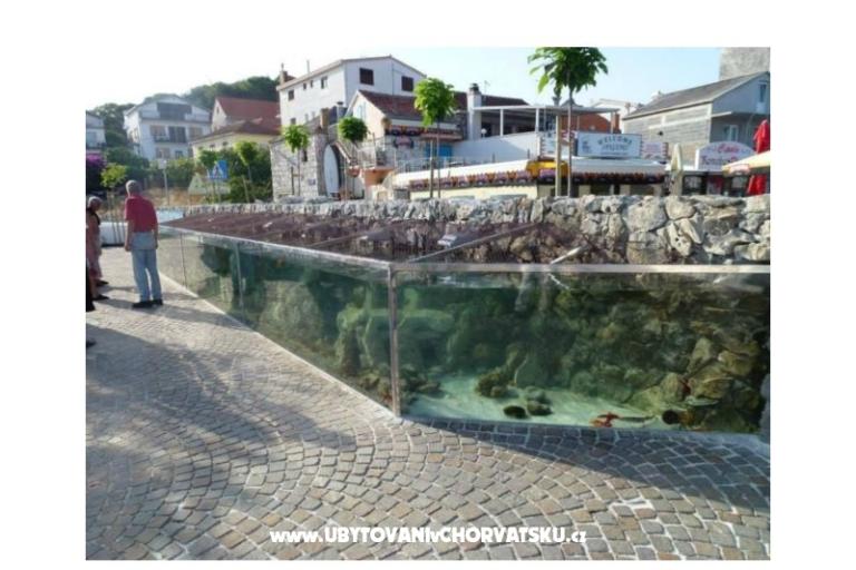 Apartmány Zdravka – foto 18