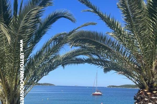 Apartmány More – foto 17