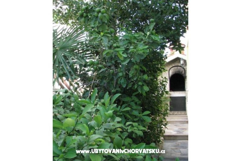 Apartmány Villa Milakovic – foto 4