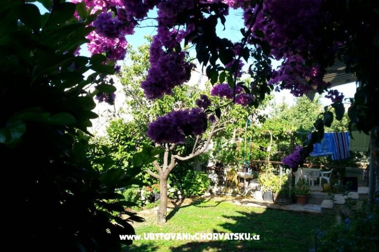 Apartmány Ursula – foto 6