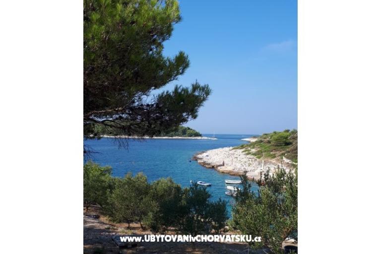 Dom Zvonimir – foto 6