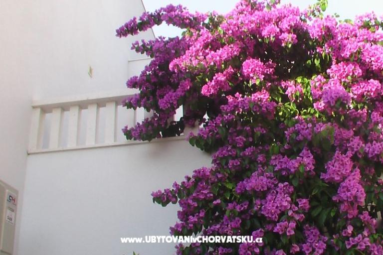 Jamnik – foto 18