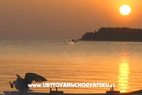 Maxi Apartmán – foto 4