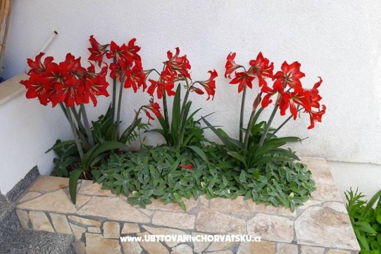 Apartmány Mira Mark Ražanj Rogoznic – foto 13