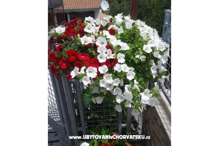 Apartmány Mira Mark Ražanj Rogoznic – foto 7