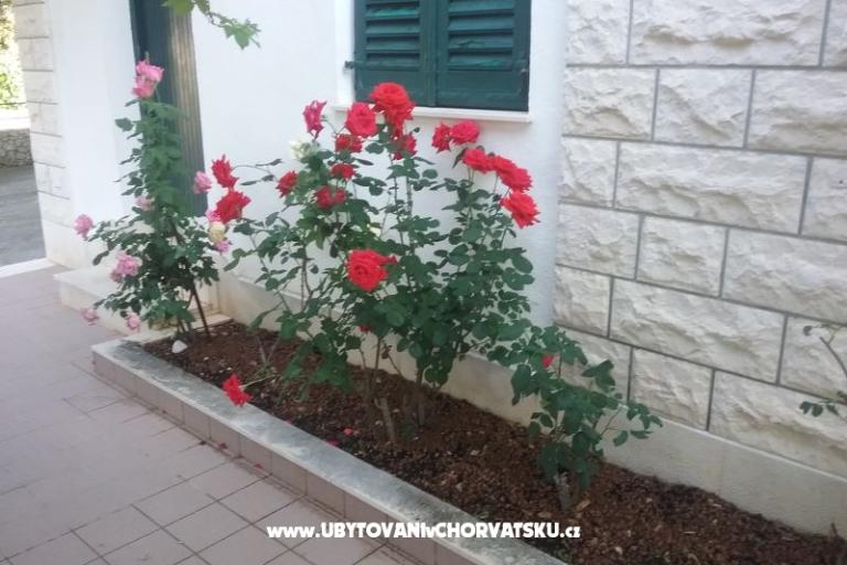 Santa Chiara Apartmány – foto 12