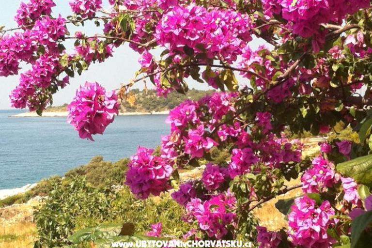 Vesna apartmani – foto 3