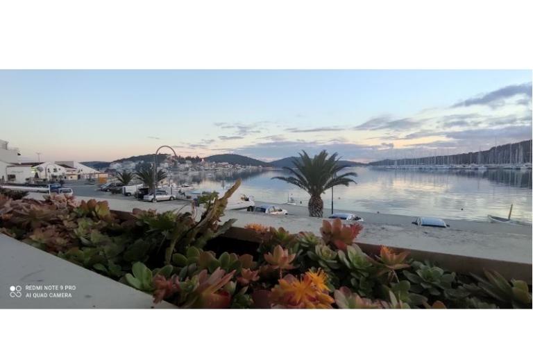 Vila Ruža – foto 5