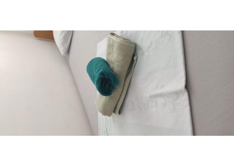 Vila Ruža – foto 7