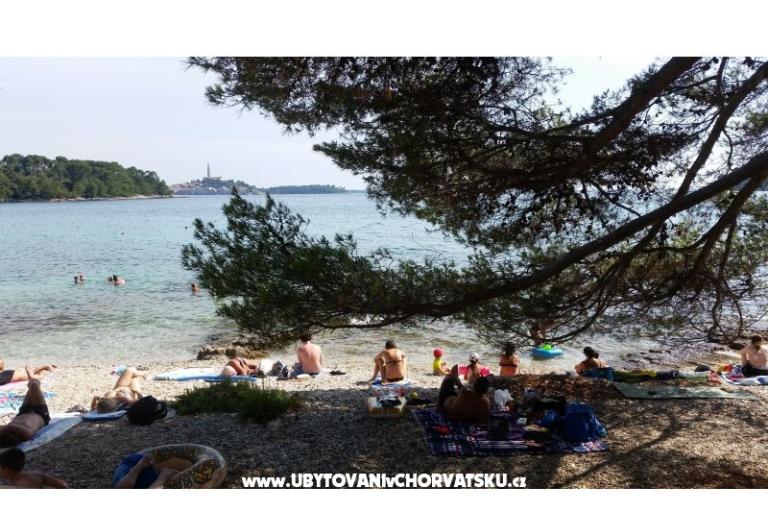 Apartmány Ana – foto 18