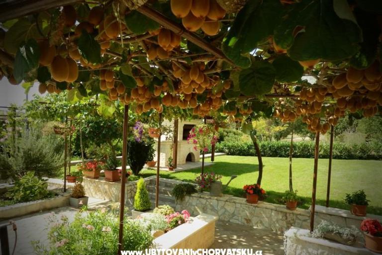 Apartmány Fantazija – foto 12