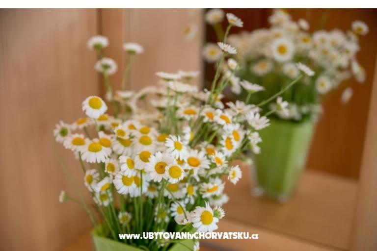 Apartmány Nada – foto 17