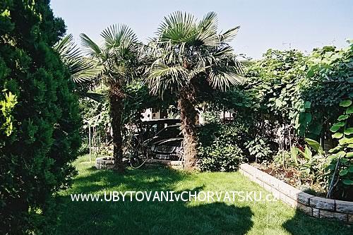 Apartmány BOS-KO – foto 3