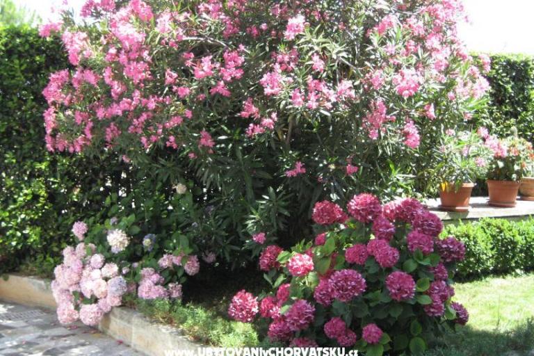 Apartmány Ida &amp; Sandra – foto 2