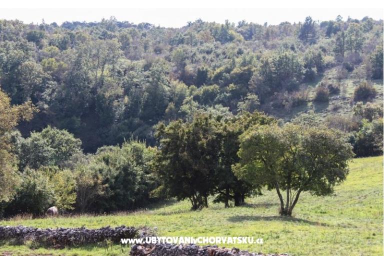 Arton Vila – foto 18