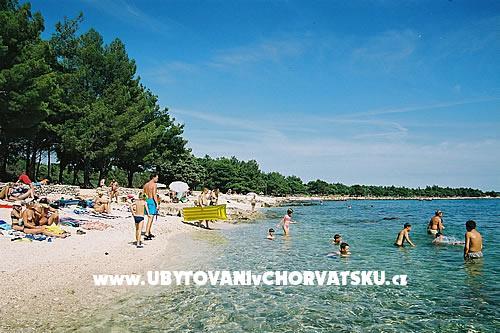 Family Dom Ivancevic – foto 5