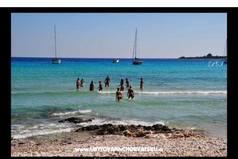 Apartmány  Zaglav Dugi otok  – foto 9