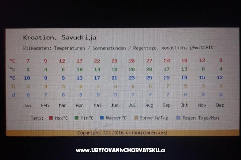 Villa Elena – foto 13