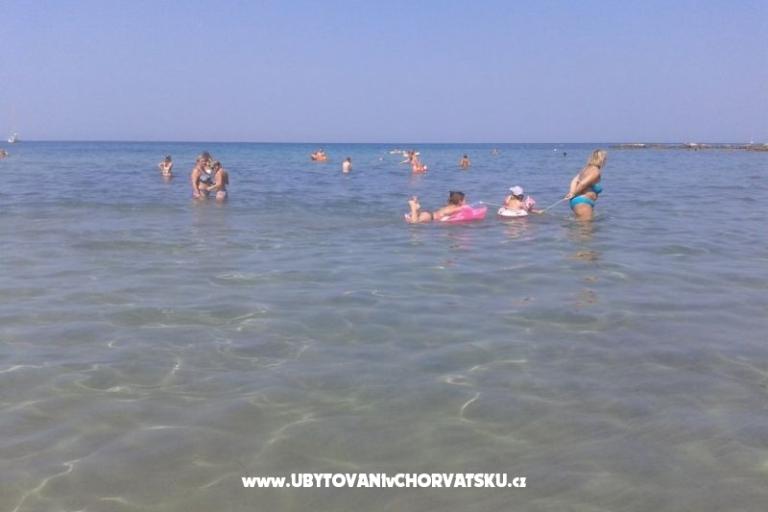 Villa Elena – foto 2