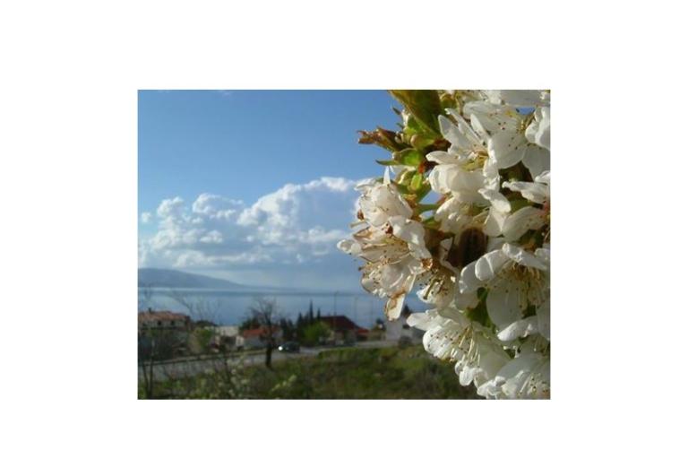 Apartmány Klara – foto 8