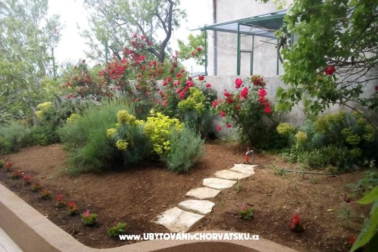 Apatmani Sučić – foto 12
