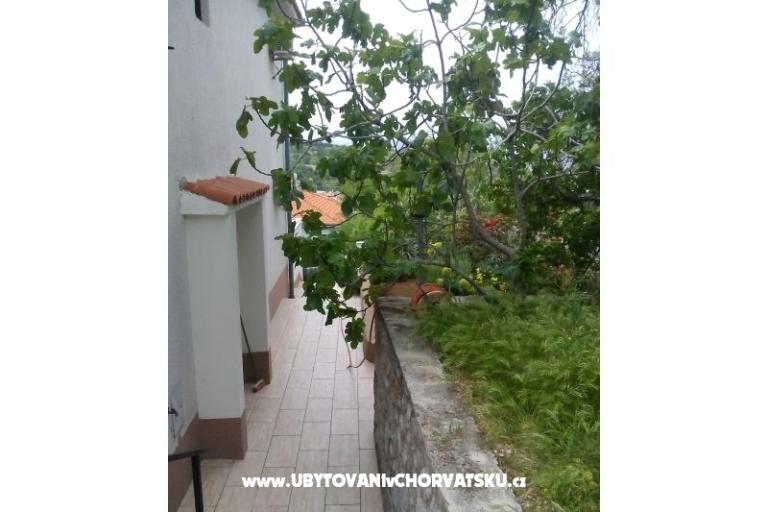Apatmani Sučić – foto 13