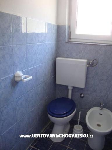 VIOLA – foto 12