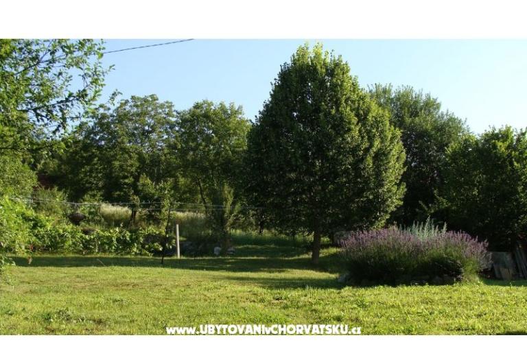 Prázdninový dom Biserka – foto 7
