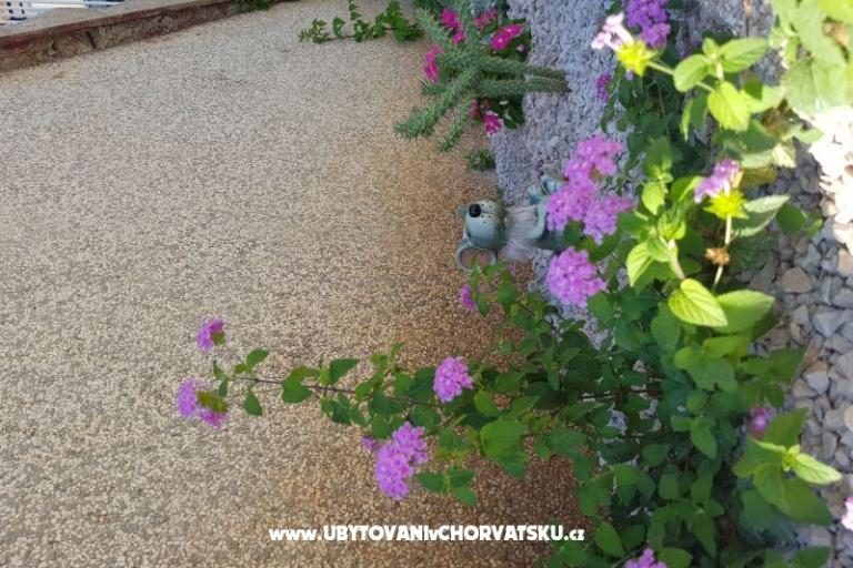 Apartmán Mikelin – foto 5