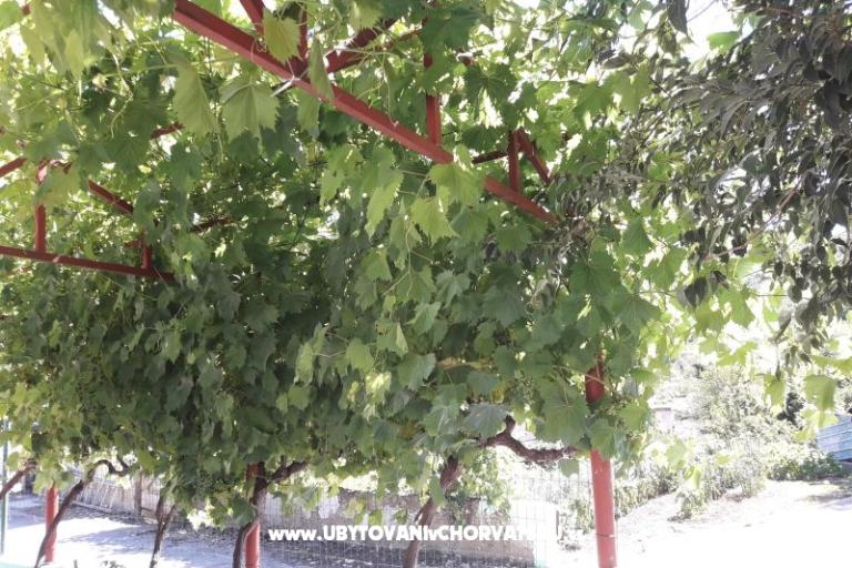 Apartmán Stara kuća  – foto 3