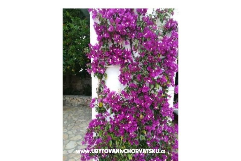 Apartmány Monika – foto 13