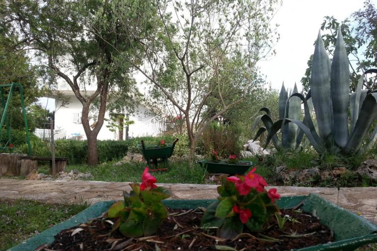 Apartmány Vlado – foto 7