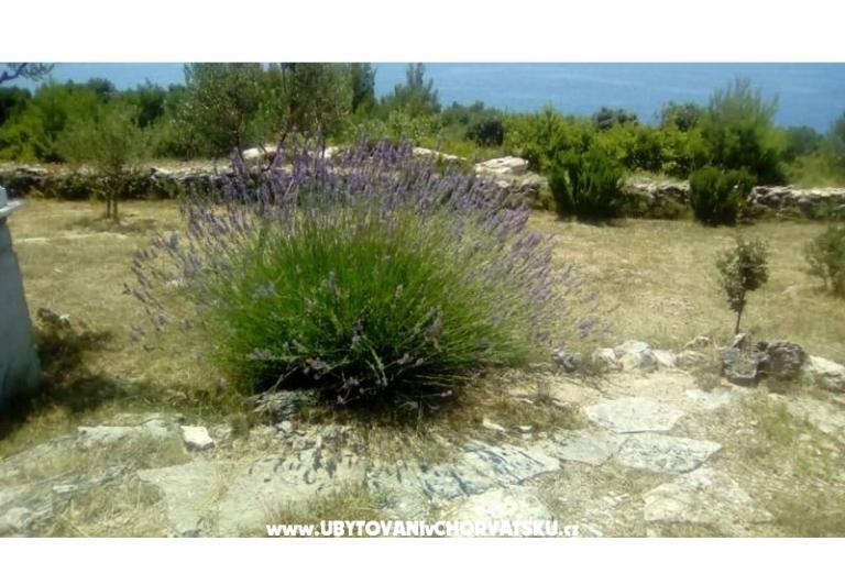 Apartmány Villa Mare – foto 9