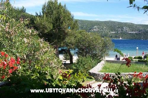 Apartmány POLAČA - Slano – foto 9