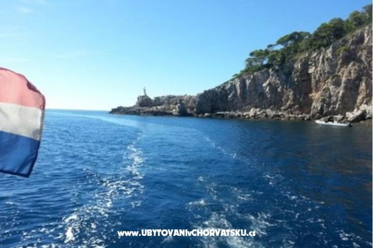 Villa Dube Slano/ villa s bazénom – foto 16