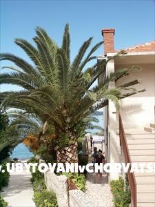 Apartmány Bosko – foto 6